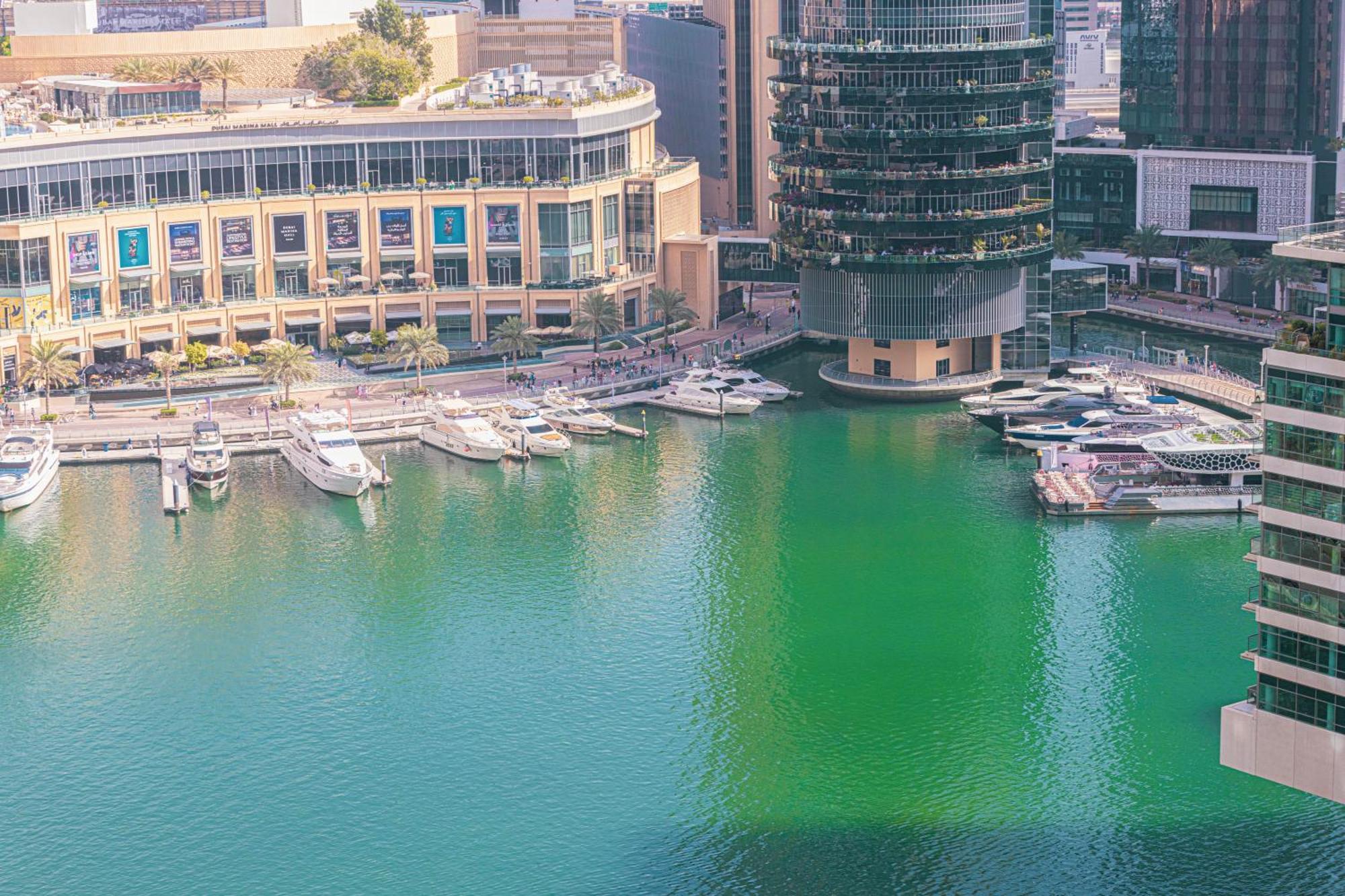 Salt Of The Ocean In Jbr By Lagom دبي
